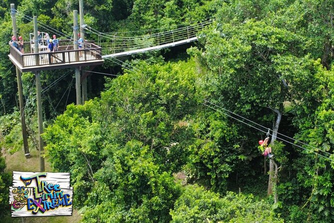 Tree Limin' Extreme Zipline - Weather, cancellation, and planning risk