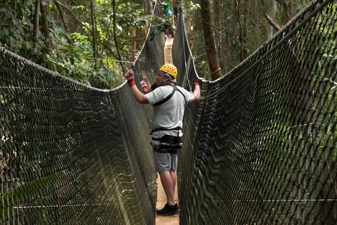 Treetop Adventure Park Canopy Tour - Key points to know before you book