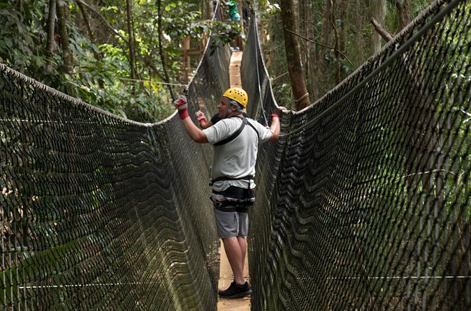 Treetop Adventure Park Canopy Tour - What the guides add to the experience
