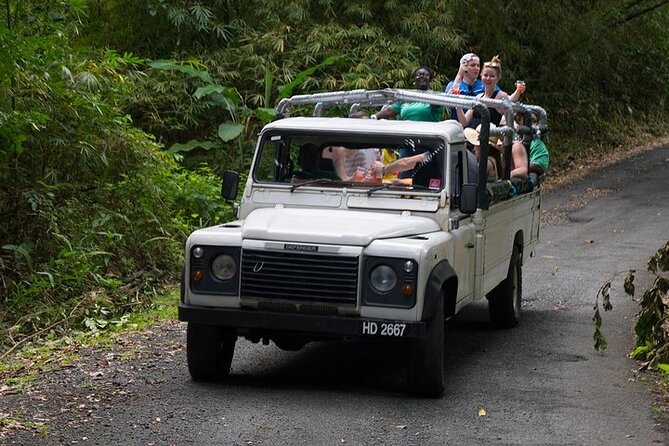 Treetop Adventure Park Canopy Tour - Twelve lines through St. Lucia’s forest