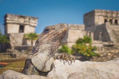 Tulum and Extreme Ride from Cancun