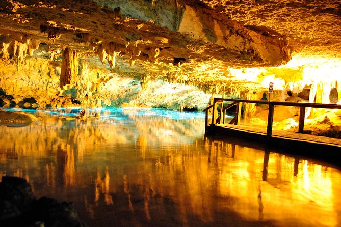 Tulum Ruins, ATV Extreme and Cenotes Combo Tour from Cancun - Who will enjoy this day most