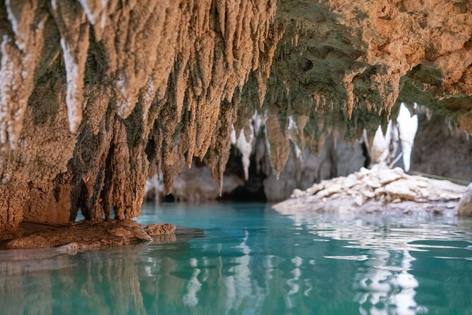 Turtle Snorkeling and Jungle Adventure with Cenote - Should you book the Turtle Snorkeling and Jungle Adventure?