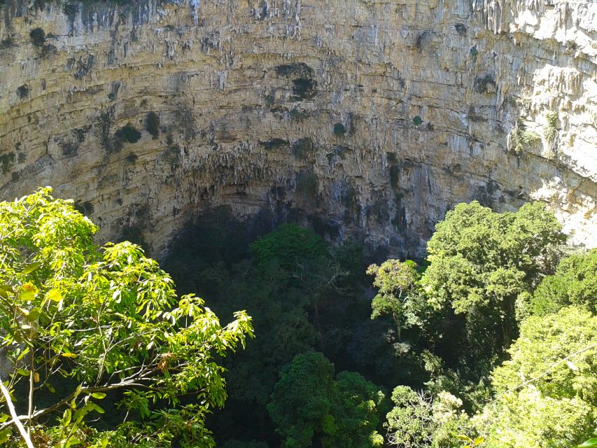 Tuxtla Gutiérrez: Sinkhole of Parrots Full-Day Rappel - Why the parakeets matter to the experience