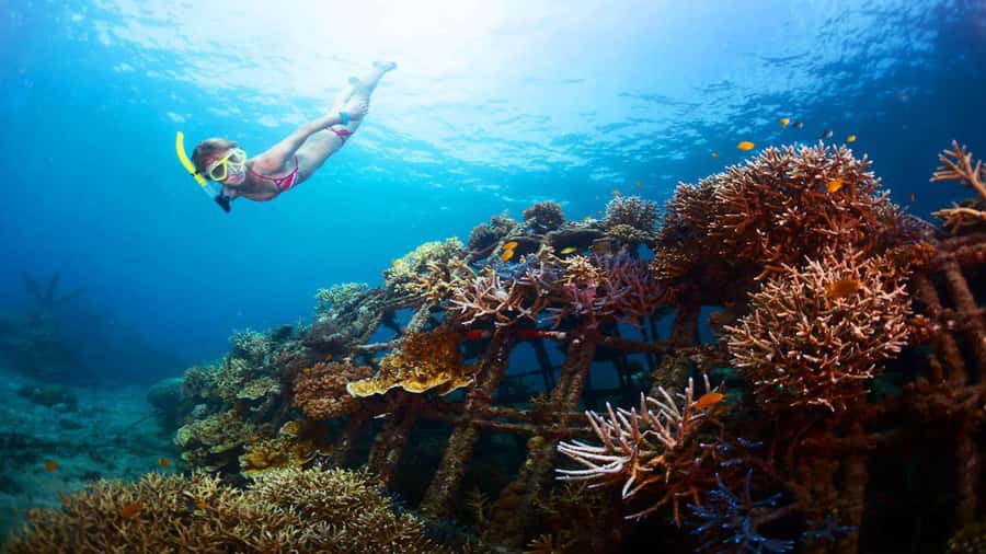 Ubud: Tegenungan Waterfall, Snorkeling, and Canyoning Tour - Key points before you book