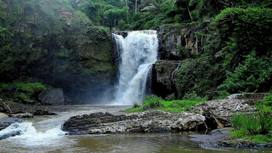 Ubud: Tegenungan Waterfall, Snorkeling, and Canyoning Tour - FAQ