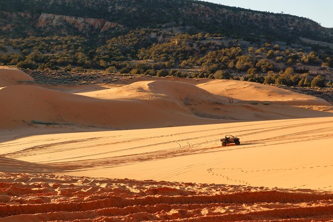 UTV Ride Climb and Rappel "Window to the Dunes" Experience - Timing, weather, and cancellation details