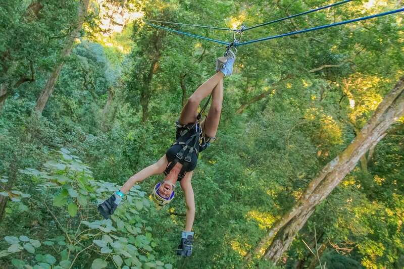 Vallarta: Xtreme Adventure, Indoor Skydive, Rappel, UTV - A full day of speed in the Puerto Vallarta jungle