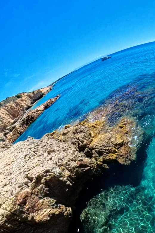 Vanilla- Wild Coasteering - Key points at a glance