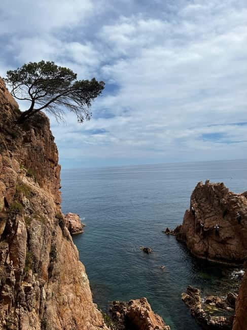 Via Ferrata Adventure in Costa Brava + Transport - Why Cala del Molí Makes This Climb Special