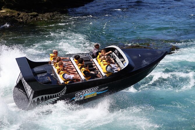 Waikato River Jet Boat Ride from Taupo - Aratiatia Scenic Reserve between the fast sections