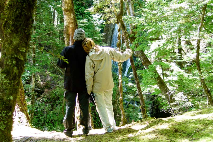 Wanaka: Jet Boat & Wilderness Walk - From Ardmore Street to the Matukituki Valley