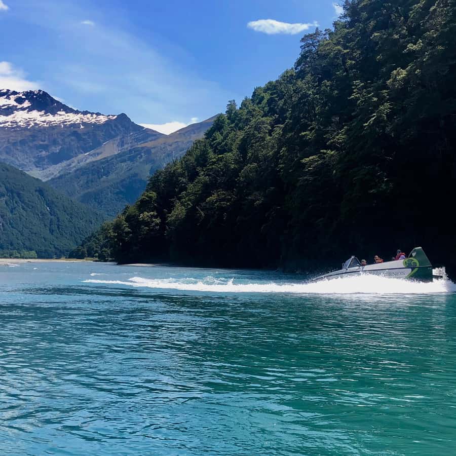 Wanaka: Jet Boat & Wilderness Walk - Who should book this Wanaka outing?