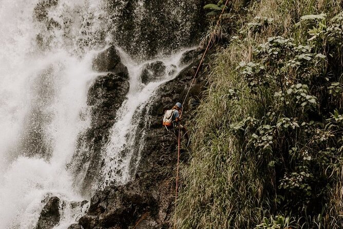 Waterfall Rappelling at Kulaniapia Falls: 120 Foot Drop, 15 Minutes from Hilo - What the 120-foot Kulaniapia Falls rappel is really like