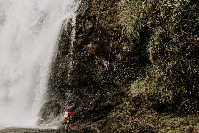 Waterfall Rappelling at Kulaniapia Falls: 120 Foot Drop, 15 Minutes from Hilo - The waterfall grounds are more than a rappel platform