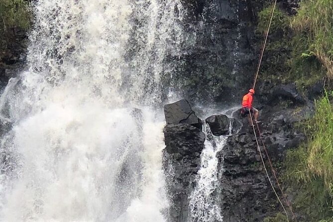 Waterfall Rappelling at Kulaniapia Falls: 120 Foot Drop, 15 Minutes from Hilo - Is $279 a fair price for this Big Island adventure?