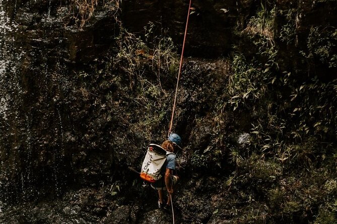 Waterfall Rappelling at Kulaniapia Falls: 120 Foot Drop, 15 Minutes from Hilo - Who should book this experience?