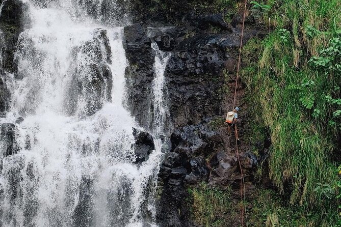 Waterfall Rappelling at Kulaniapia Falls: 120 Foot Drop, 15 Minutes from Hilo - Practical clothing and timing advice