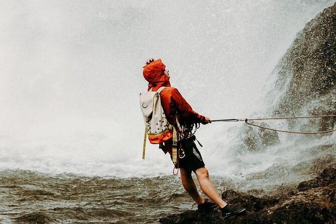 Waterfall Rappelling at Kulaniapia Falls: 120 Foot Drop, 15 Minutes from Hilo - Booking, cancellation, and conditions