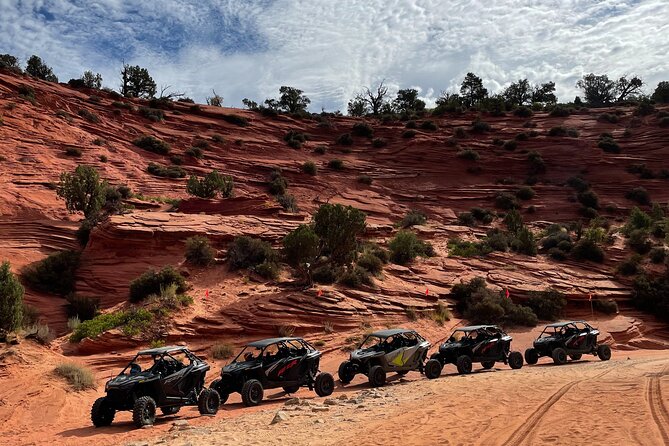 YOU DRIVE!! Rap & Ride - A Full Day of Rappelling and UTVs - What the supplied gear means for you