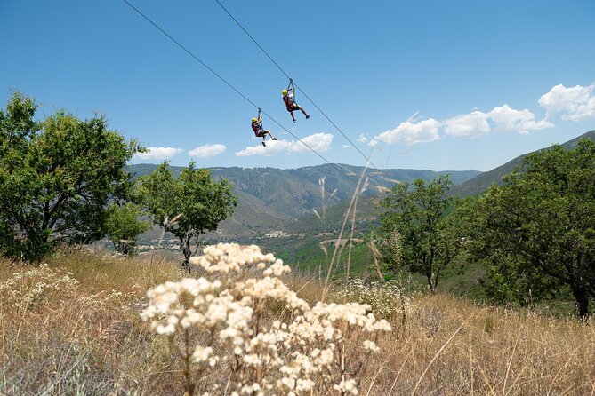 Zip Zoom Ziplines at La Jolla Indian Adventure Park - What the $114.09 price buys you