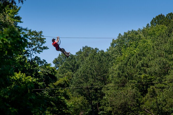 Ziplining and Climbing at The Adventure Park at Virginia Aquarium - Key details before you book