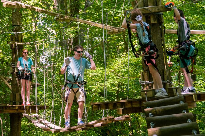 Ziplining and Climbing at The Adventure Park at Virginia Aquarium - What the 98 percent recommendation tells you