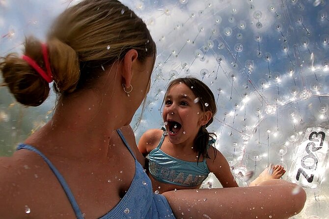 Zorb Inflatable Ball Ride from Mount Ngongotaha in New Zealand - Who should ride, and who should skip it?